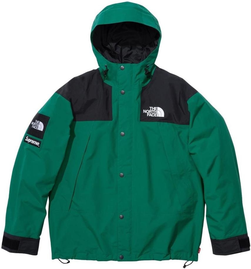 Supreme®/The North Face® Mountain Jacket view 15